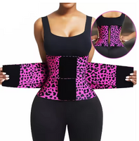 WildCurve Belt™